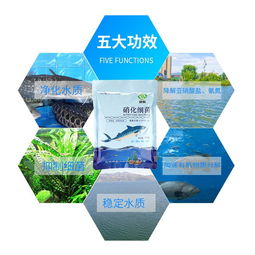 淺談水族凈水產(chǎn)品的清潔與綠水為食