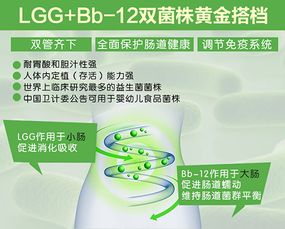 科學選購益生菌產品 從理論到實踐的全攻略