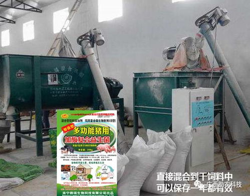 秘密曝光 廣西數千豬場依賴的益生菌配方揭秘，你也能自制